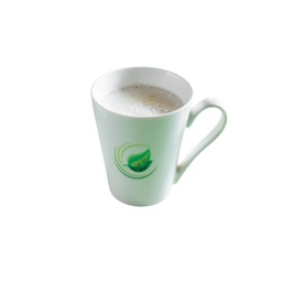 [T9] Organic Soy Milk 有机豆奶 (Hot)
