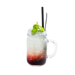 [S1] Blackcurrant 黑加仑